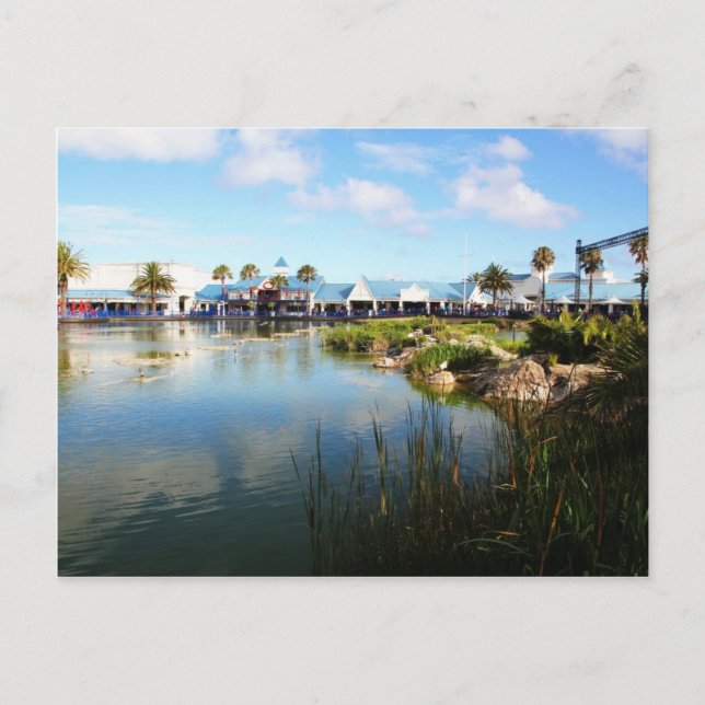 The Boardwalk at Port Elizabeth Postkarte (Vorderseite)