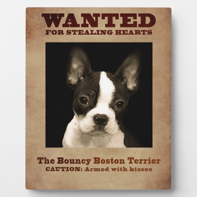 The Bouncy Boston Terrier Fotoplatte (Vorderseite)