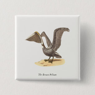 The Brown Pelican (Pelecanus occidentalis) NY Bird Button