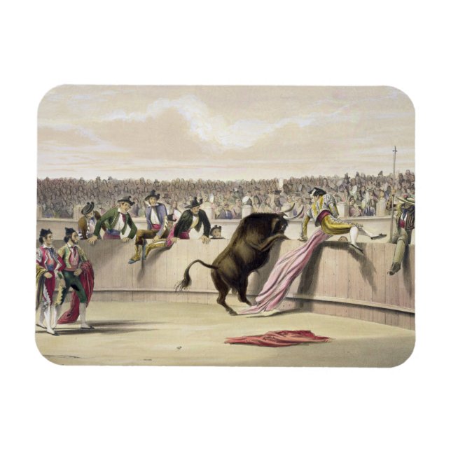 The Bull Leaping the Barriers, 1865 (Farbe litho) Magnet (Horizontal)