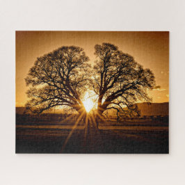 The Burst of Sunset - 16x20 - 520 Stk
