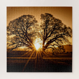 The Burst of Sunset - 20x20 - 676 Stk.
