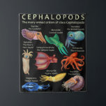 The Cephalopod Octopus Squid Cuttlefish Wandteppich<br><div class="desc">The Cephalopod Octopus Squid Cuttlefish</div>
