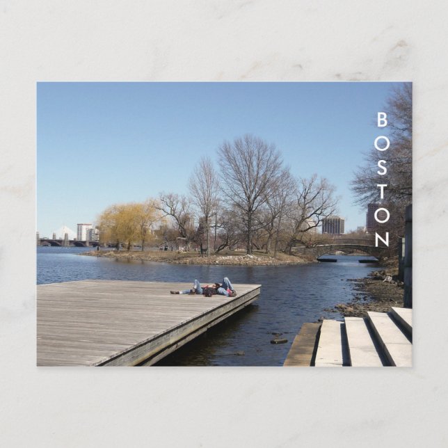 The Charles River Esplanade (Farbe) Postkarte (Vorderseite)
