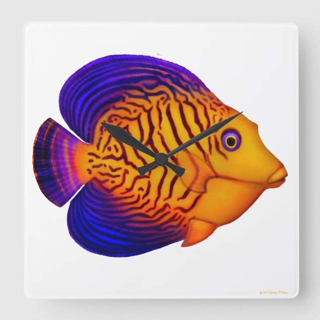 The Chevron Tang Reef Fish Wall Clock Quadratische Wanduhr (Vorderseite)
