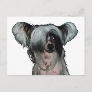 The Chinese crested dog Postkarte