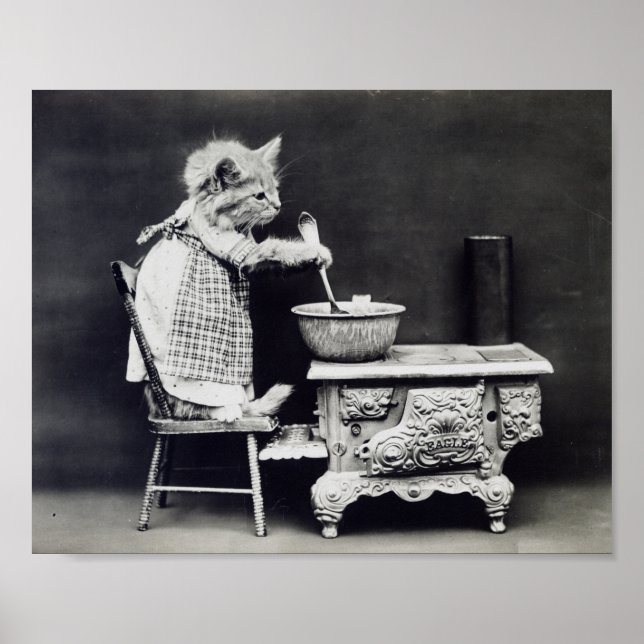 The Cook Cat Funny Harry Whittier Frees 1914 Poster (Vorne)