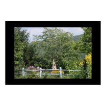 THE COUNTRY GARDEN poster