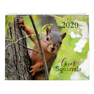 The Cover Eichhörnchen 2020 Calendar Kalender