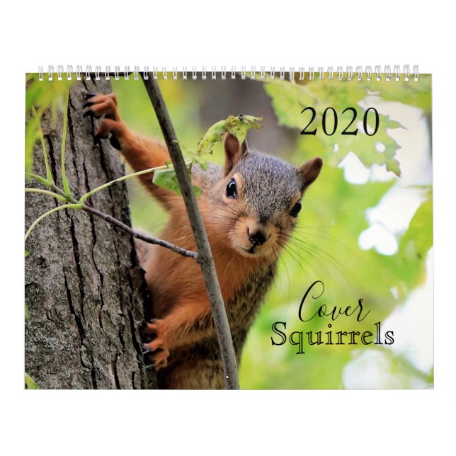 The Cover Eichhörnchen 2020 Calendar Kalender (Titelbild)