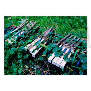 The Day the Music Died  -  Blank Inside Card