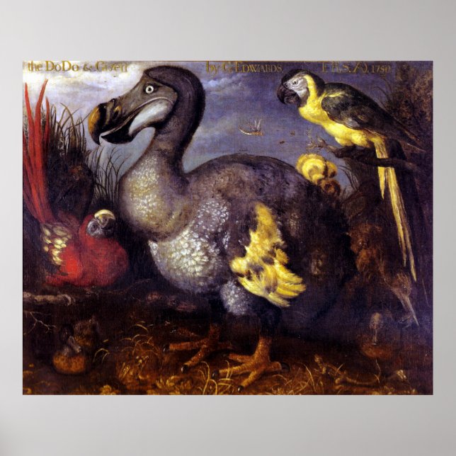 The Dodo And Friends Poster (Vorne)