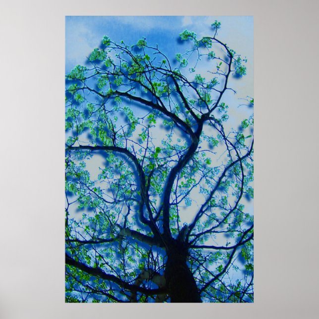 The Dogwood Rendition III Poster (Vorne)