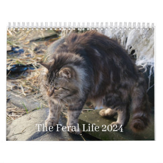 The Feral Life 2024 Schöne natürliche Katzen Calen Kalender