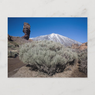 The finger of God Postkarte