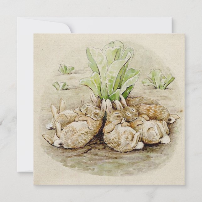 The Flopsy Bunnies Asleep (von Beatrix Potter) Karte (Vorderseite)
