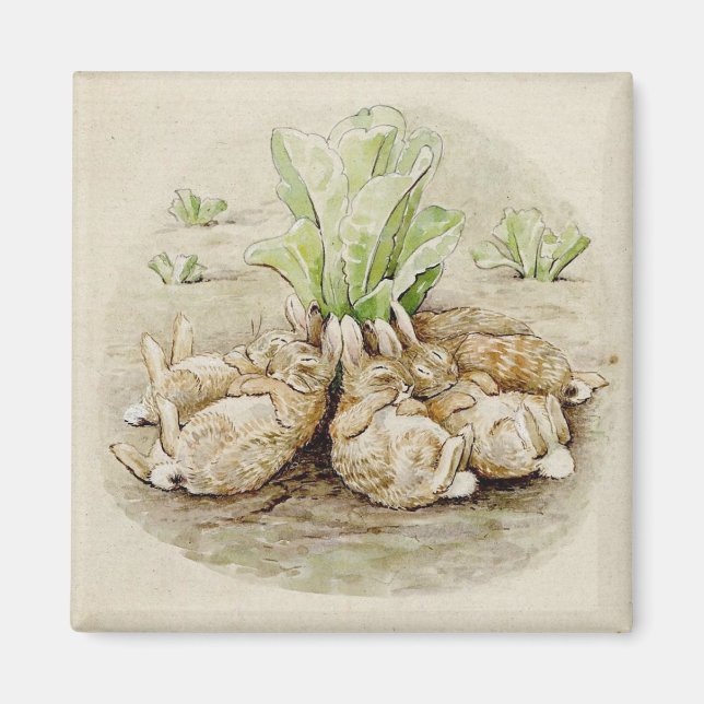 The Flopsy Bunnies Asleep (von Beatrix Potter) Magnet (Vorne)