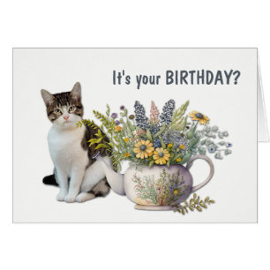 Thé floral Kettle Chat Meowday