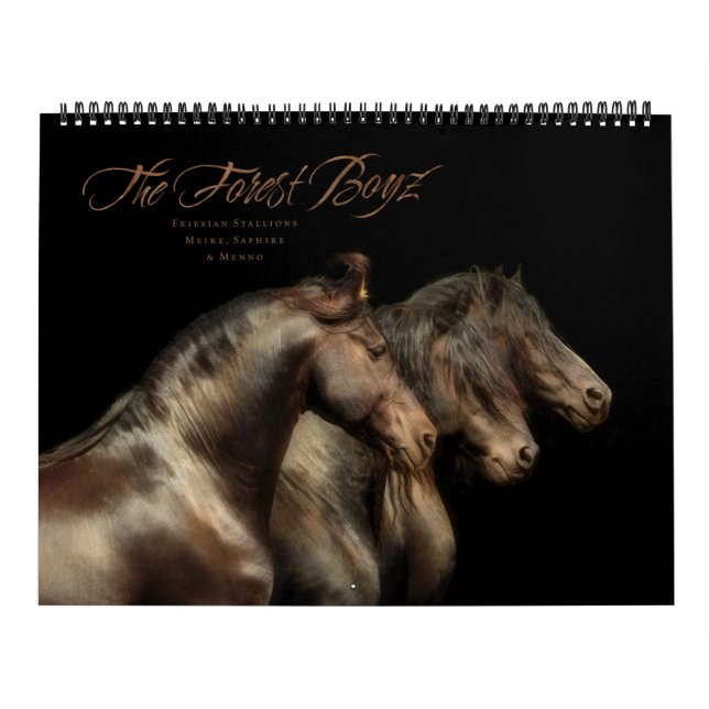 The Forest Boyz - Freedom Fighters Kalender (Titelbild)