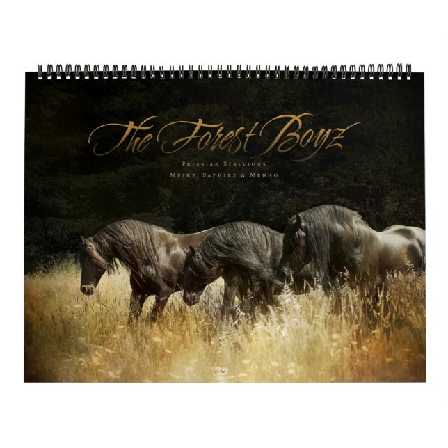 The Forest Boyz - Himmlischer Heimat Calendar Kalender (Titelbild)