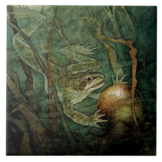 "The Frog Prince and the Golden Ball" von Edmund D Fliese (Vorderseite)