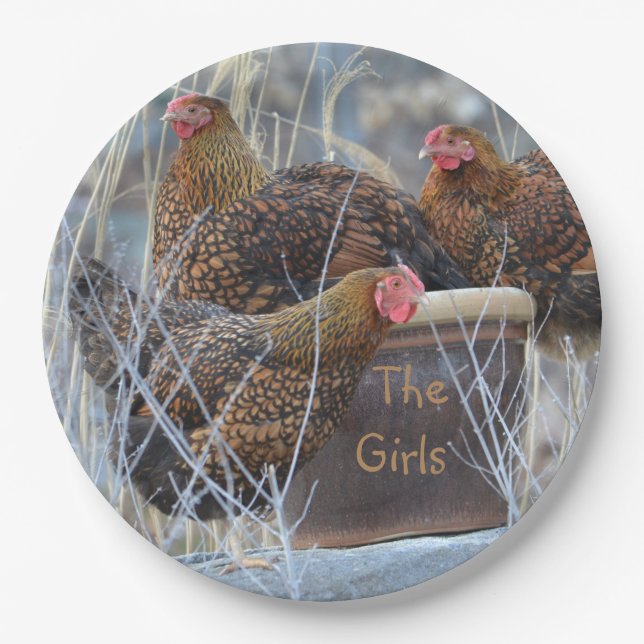 "The Girls" Hühnerpapierteller Pappteller (Vorderseite)