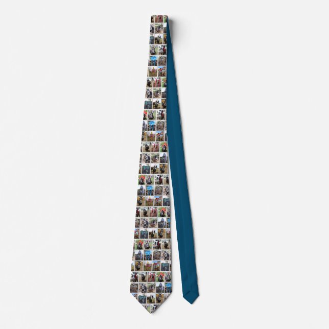 The GOAT Tie Krawatte (Vorderseite)