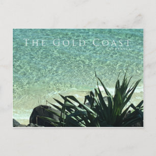 The Gold Coast Wird Australia Scenic Series Postkarte