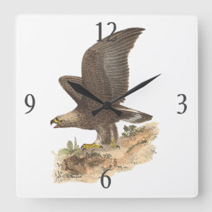 The Golden Eagle (Aquila chrysaetos) NY Bird Image Quadratische Wanduhr