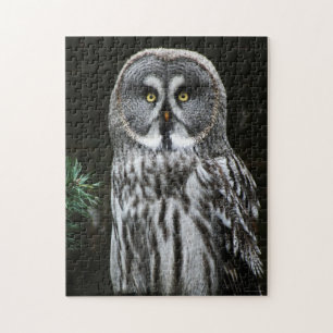 The Great Gray Owl 11x14 252pc jpcnm