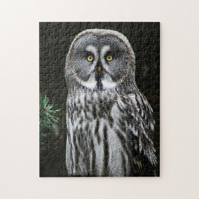 The Great Gray Owl 11x14 252pc jpcnm (Vertikal)