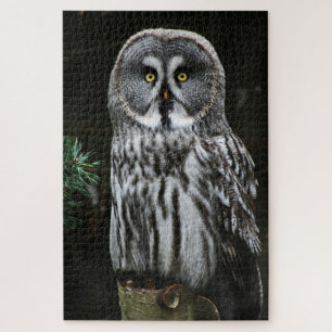 The Great Gray Owl 20x30 1014pc jpm