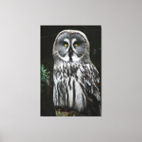 The Great Gray Owl 40x60 (100x150cm) waccnm