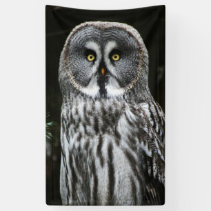 The Great Gray Owl Banner