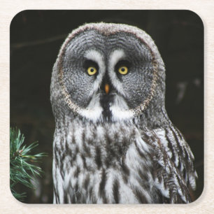 The Great Gray Owl Coast Rechteckiger Pappuntersetzer
