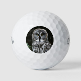The Great Gray Owl cwb gbcnm Golfball