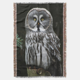 The Great Gray Owl tbcna Decke