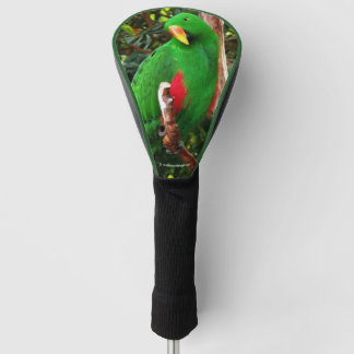 "The Green Orator" Eclectus Parrot Golf Headcover