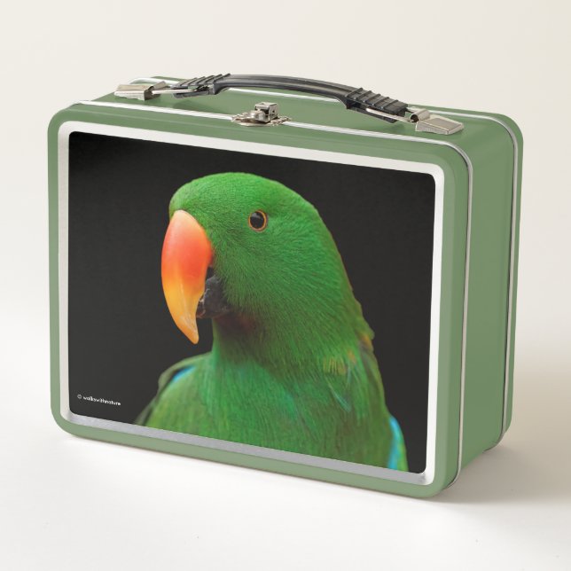 "The Green Orator" Eclectus Parrot Metall Brotdose (Vorderseite)