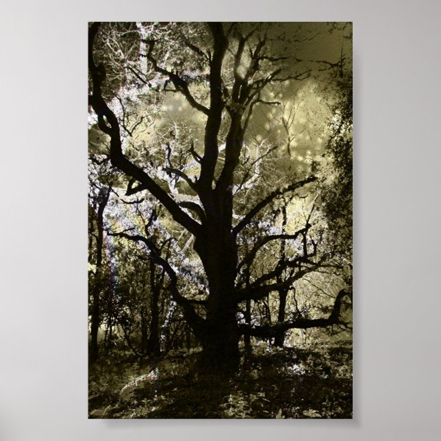 The Haunted Tree Poster (Vorne)