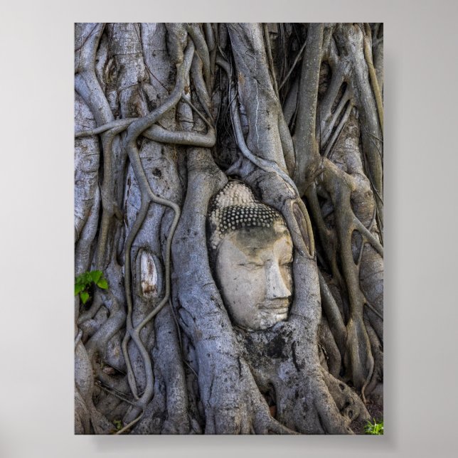 The head in the tree poster (Vorne)