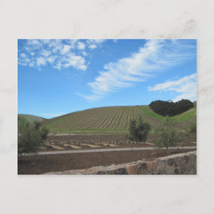 The Heart of Paso Robles Wine Country Postkarte