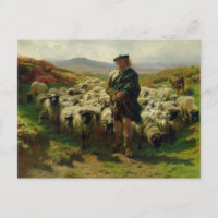 The Highland Shepherd von Rosa Bonheur Postcard