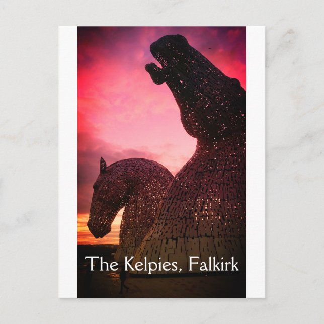 The Kelpies in Falkirk, Schottland, Postkarte (Vorderseite)