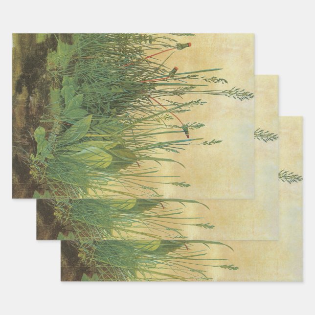 The Large (Great) Piece of Turf by Albrecht Durer Geschenkpapier Set (Set)