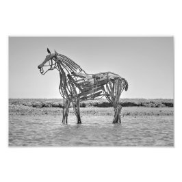 The Lifeboat Horse, Wells-next-the-Sea  Fotodruck
