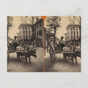 The Lightning Express, Savannah, Ga c. 1886 Postkarte