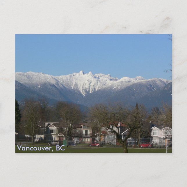 The Lions - Vancouver, BC Postkarte (Vorderseite)
