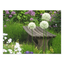 The Little Bench - Kodak Pro Foto Print Satin