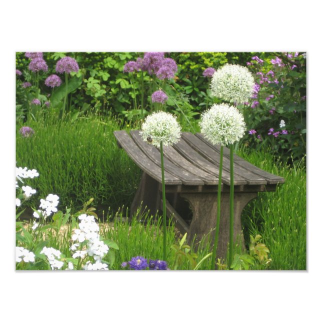 The Little Bench - Kodak Pro Foto Print Satin (Vorne)